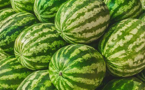 51今日吃瓜必吃大瓜,揭秘娱乐圈大瓜背后的真相