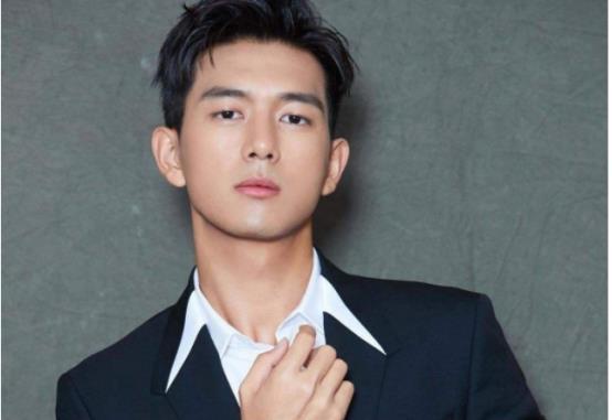有个男明星叫李,星光璀璨的影视界新星
