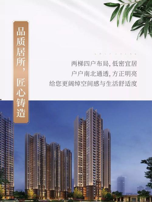 桂林楼盘爆料信息网站最新,揭秘热门项目亮点与价格走势