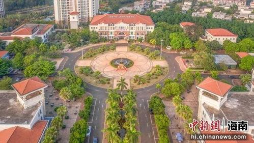 澄迈县头条,聚焦发展新动态，共绘美好未来画卷