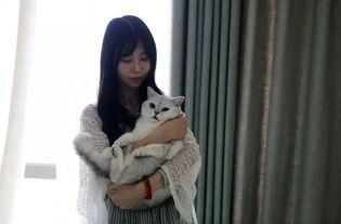 李白网红猫,穿越时空的喵星人传奇