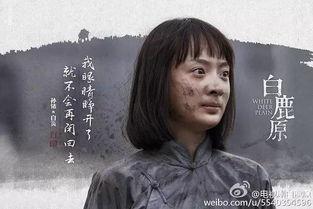 西安白鹿原买房明星,房产市场热度攀升之谜