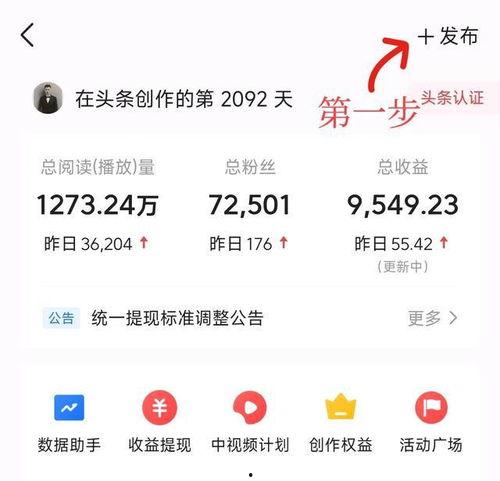 头条到哪发视频才有收益,头条平台视频收益的秘密，掌握这些技巧轻松赚钱！