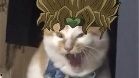 吃瓜福星唐九九,揭秘娱乐圈背后的秘密与欢乐