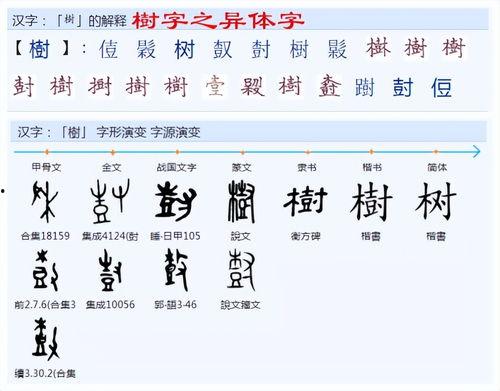 今曰头条的拼音,拼出精彩，共筑未来