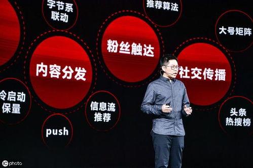 头条历史领域哪些是热词