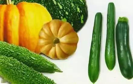 吃瓜左江,一场关于美食与文化的盛宴