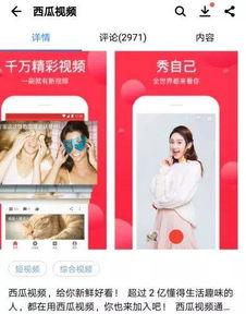 头条直播支持游戏吗,游戏直播功能强势加入，畅享互动新体验