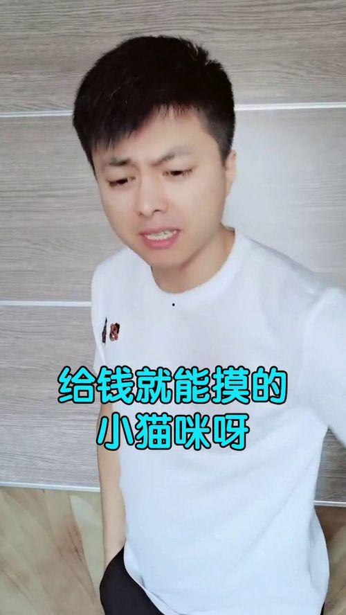 头条宠物明星自拍,宠物明星们的独家风采瞬间