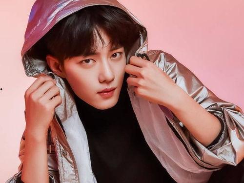 杨紫与肖战最新爆料图片,甜蜜互动引粉丝热议