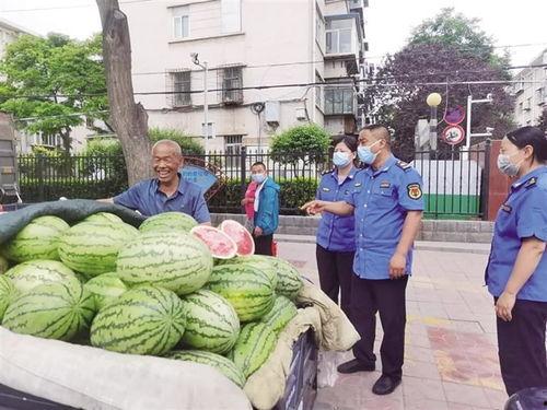 甘肃文县吃瓜的视频,瓜香四溢的乡村风情