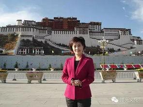 甘肃籍明星祭祖视频