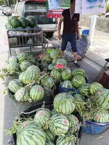 饶平最新吃瓜事件,揭秘网络热议背后的真相